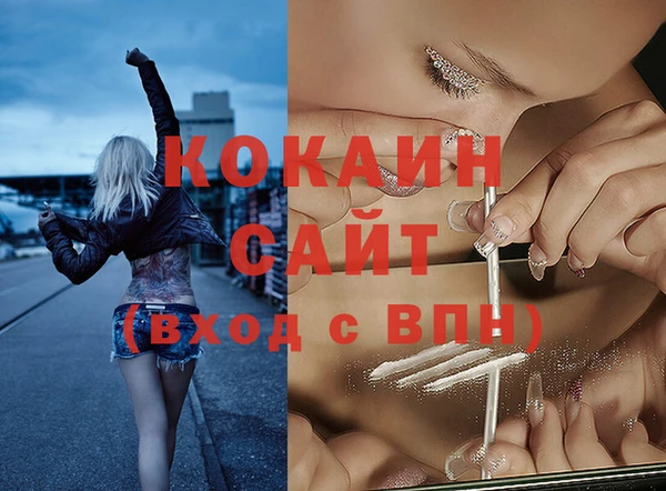 мяу мяу мука Бикин