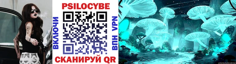 где найти   Буйнакск  Галлюциногенные грибы Psilocybe 